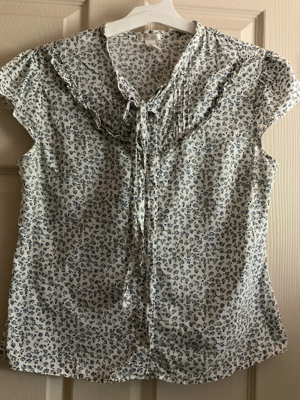 Blue Floral Ambiance Size Medium Ruffle Cap Flutter Sleeve Cottagecore Romantic